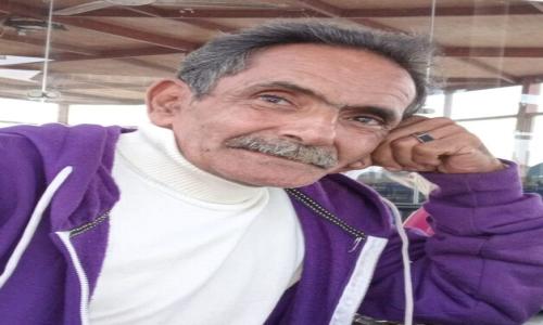 كلاب الشارع ضحية هؤلاء