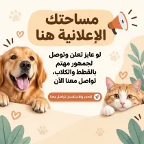ضع اعلانك هنا